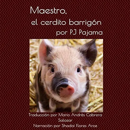 Maestro, el cerdito barrigón
