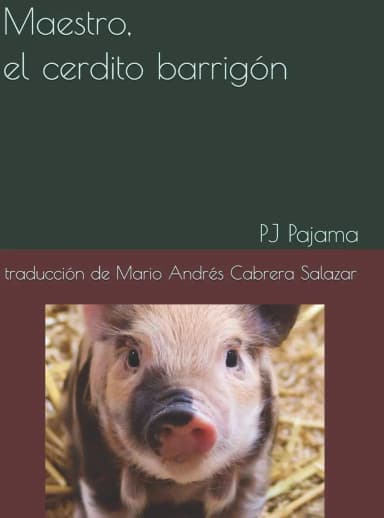 Maestro, el cerdito barrigón